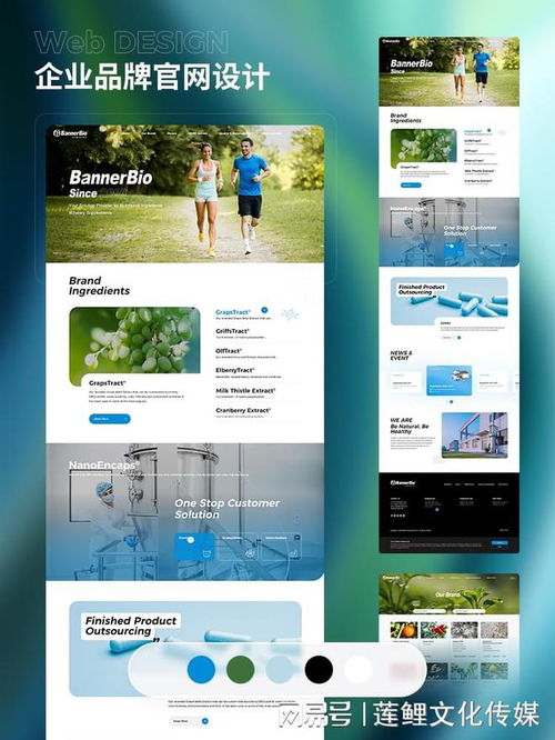 2025年初總結(jié) 國內(nèi)十大頂級網(wǎng)站建設(shè)公司最新排行